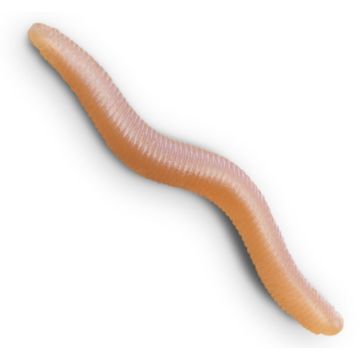 Worm Delphin B! StinxWORM Garlic, Skiny, 4cm, 50buc/plic