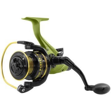 Mulineta Delphin Partisan