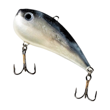 Cicada Vida Slim, Culoare CB, 8cm, 50g