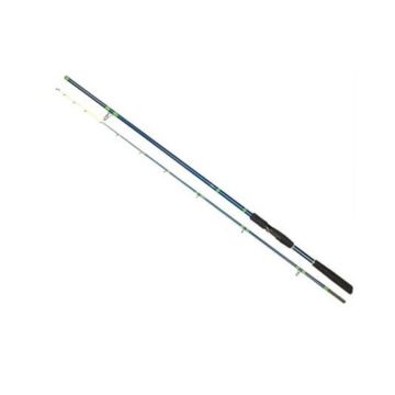 Въдица Golden Catch Rod Armatur Spin, 3.00m, 100-250g
