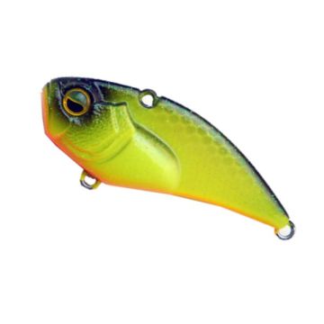 Cicada Raid Japan Level VIB Boost, 016 Neon Back Chart, 3.8cm, 5g