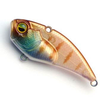 Cicada Raid Japan Level VIB Boost, 024 Sukebe Gill, 4.6cm, 9g