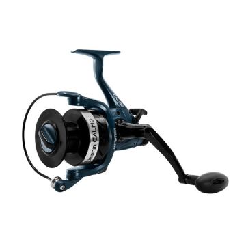 Mulineta Delphin Calmo