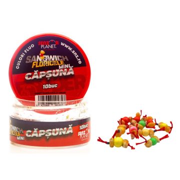 Sandwich Senzor Planet Floricele Crap Mini, 10buc
