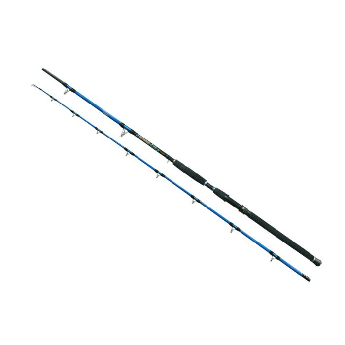 Lanseta EnergoTeam Wizard Cat Pro Power, 3.00m, 800-1000g, 2buc