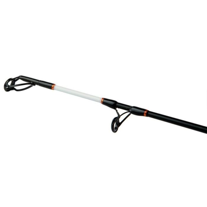 Lanseta Shimano Beastmaster AX Catfish Multi Spinning, 2.30m, 200g, 2buc 3