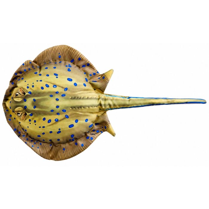 Perna EnergoTeam Raia Baby, 50cm