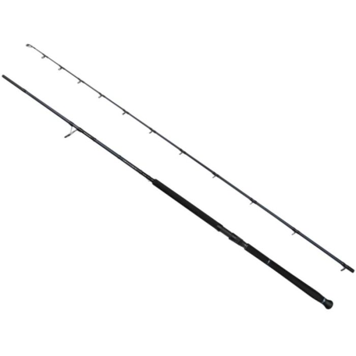 Въдица Savage Gear SG2 Defiance Shore Jigging, 2.90m, 50-120g, 2 броя